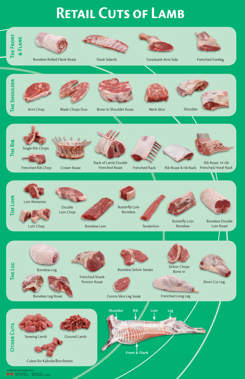 Lamb Cuts Chart Australia